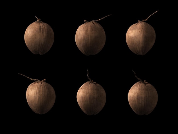 set image of brown coconut isolated on black background.