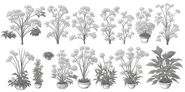 Set of indoor plants and flowers background in black and white on a white background