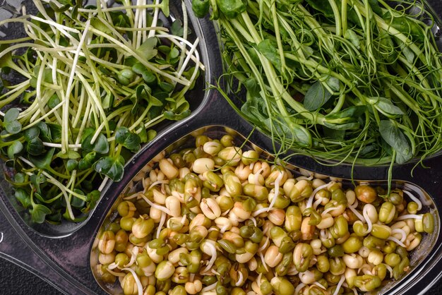 A set or mix of pea mustard and sprouted mung bean microgreens in a portioned plastic box on a dark concrete background