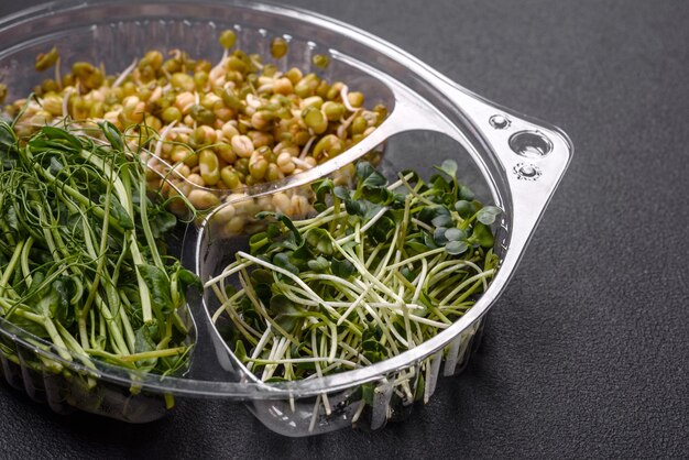 A set or mix of pea mustard and sprouted mung bean microgreens in a portioned plastic box on a dark concrete background