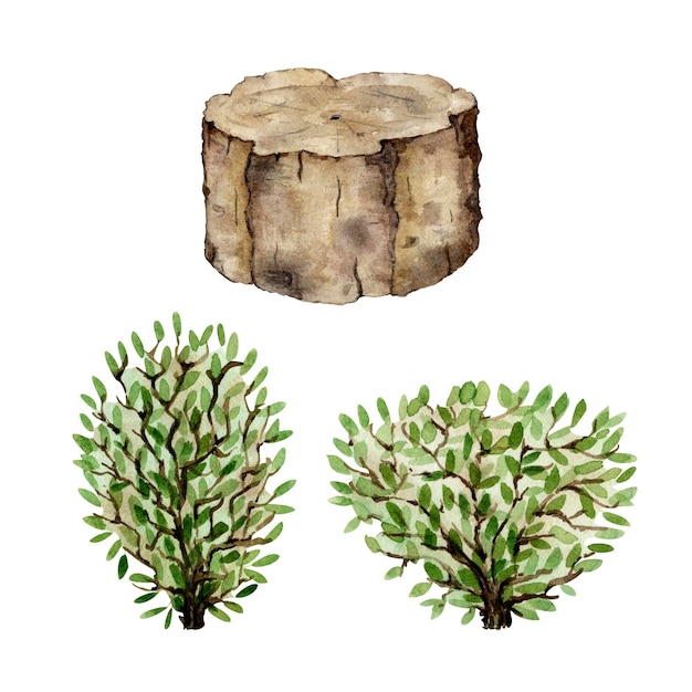 A set of natural elements Two bushes and a stump Watercolor illustration