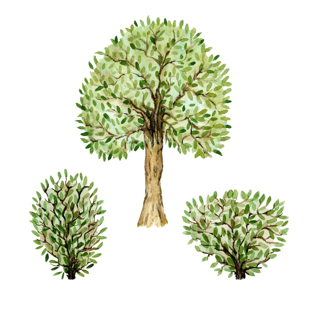 Set of natural elements Two bushes and a tree Watercolor illustration