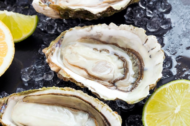 Set of opened oysters