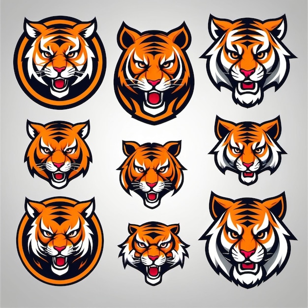 a set of orange tiger faces with the words tiger on the front