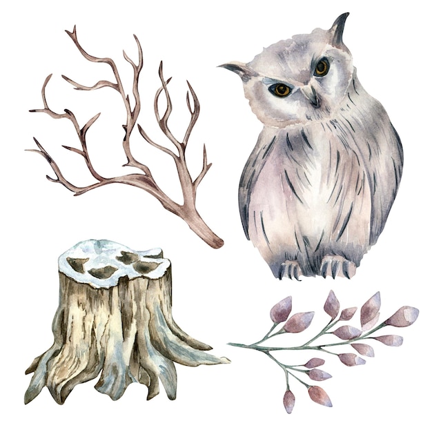 Set of owl and forest plants watercolor illustration isolated on white