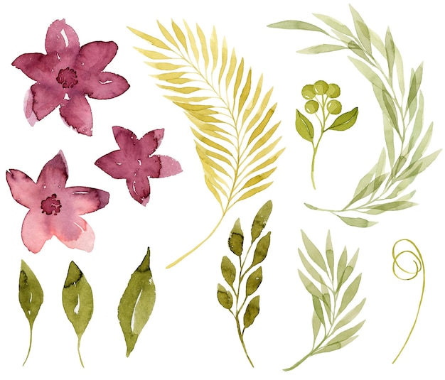 Set of pink watercolor flowers green watercolor leaves ferns and branches botanical illustration