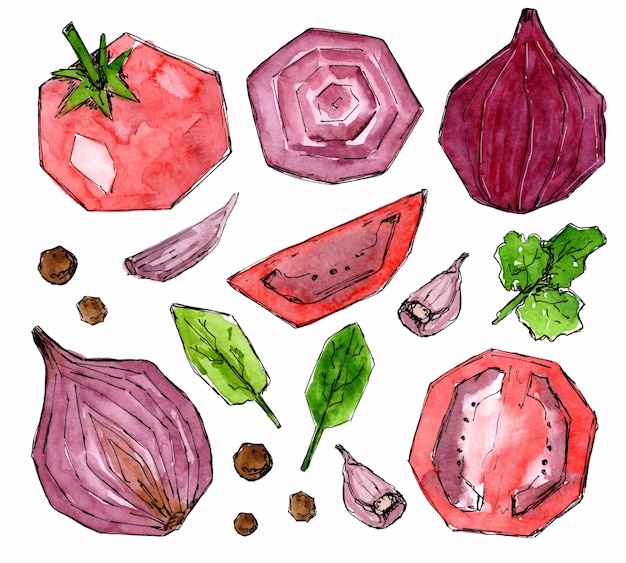 Set of red vegetables and spices stylized square Tomato basil and parsley leaves onion garlic Watercolor sketch hand drawn painted Fresh food design elements isolated on white background