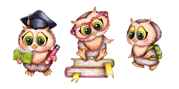 Set of smart watercolor owls