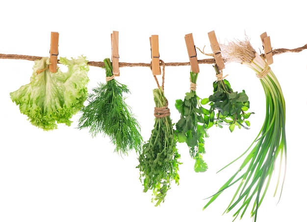 Set of Spice Herbs isolated on white background bunches of thyme, basil, oregano, parsley.