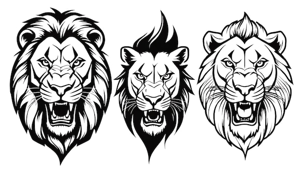 a set of three lions with the words lions on them