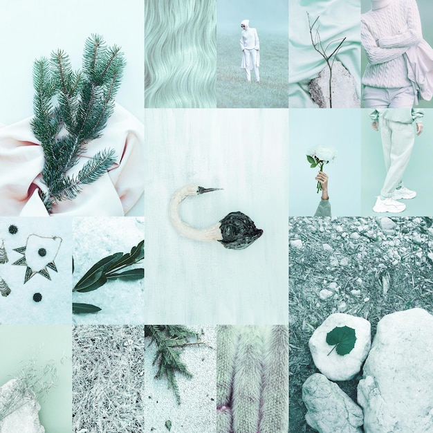 Photo set of trendy aesthetic photo collages minimalistic images of one top color fashion white moodboard