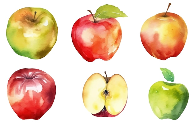 Set vector watercolor illustration of ripe apple isolated on white background