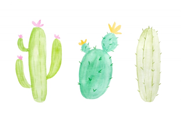 Set of watercolor cacti