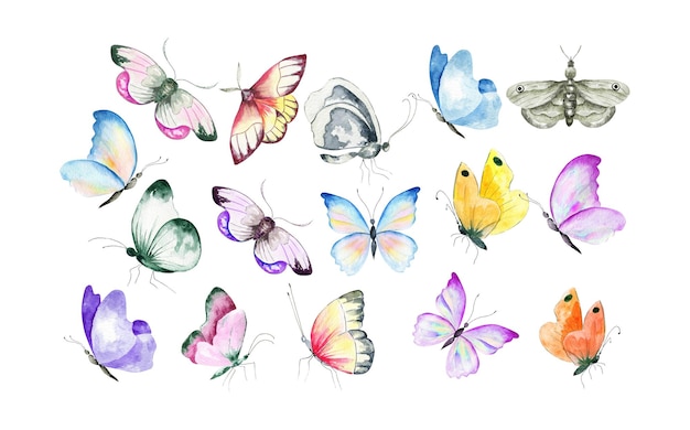 Set of watercolor colorful butterfly.