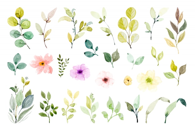 Set of watercolor design elements.