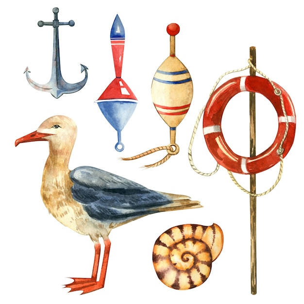 A set of watercolor elements on a marine theme seagull, floats, lifebuoy, anchor, shell