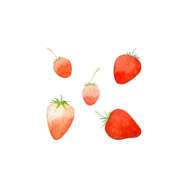 Set of watercolor isolated illustrations of strawberries on a white background Illustration for design and creativity Illustrations for producers of fruit juice or yogurts