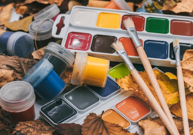 Set of watercolor paints and paintbrushes for painting closeup on the background of autumn leaves