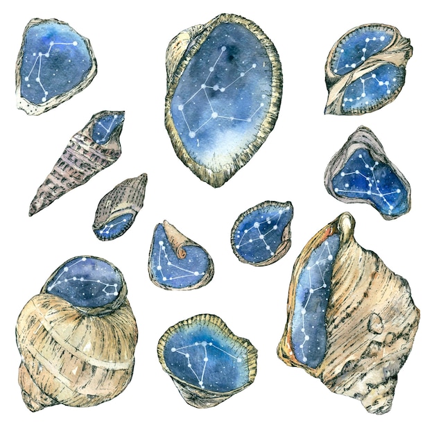 A set of watercolor shells with water and stars inside isolates Watercolor illustration