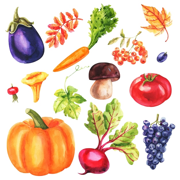 Set of watercolor vegetables on white background