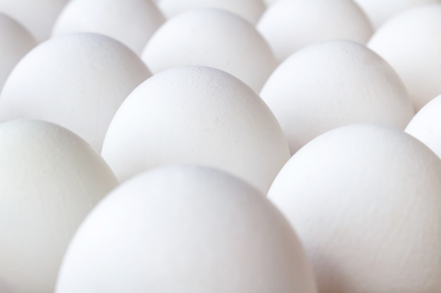 Set of white chicken eggs close-up