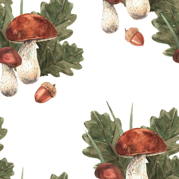 Set of white mushrooms herbs oak leaves and acorns Watercolor  Isolate  Seamless pattern