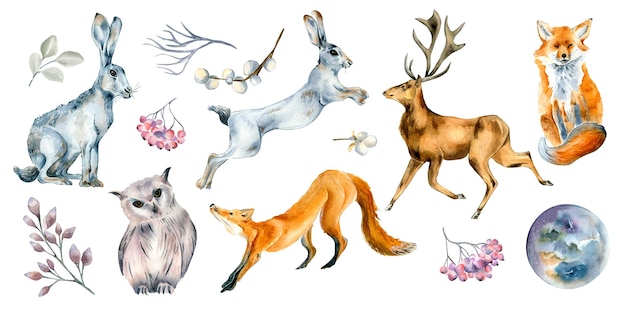 Set of wild animals and forest plants watercolor illustration isolated on white