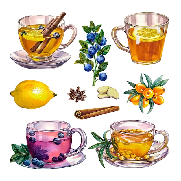 A set with fragrant antiviral tea with lemon cinnamon and ginger.  Watercolor illustration.