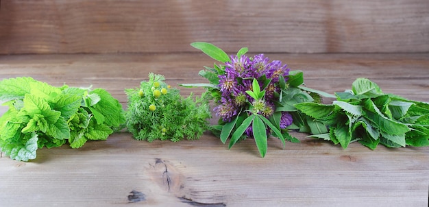 Sets of medicinal herbs on a wooden background are arranged horizontally