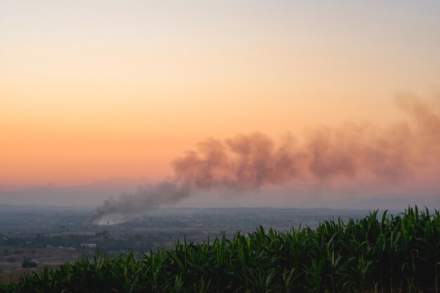 Setting fire to the forest that causes smoke, environmental pollution such as dust and smog.