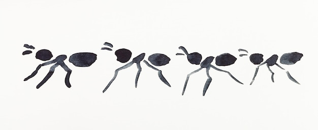 Several ants drawn by black watercolors