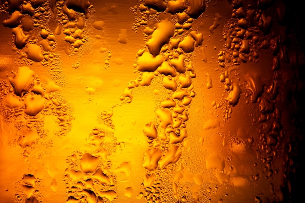 Several beer bottles with condensationClose up of beer bottlesItaly