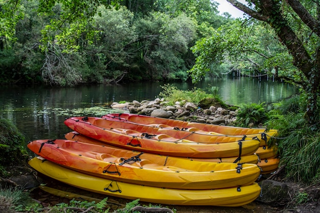 Several colorful canoes resting on the riverbank