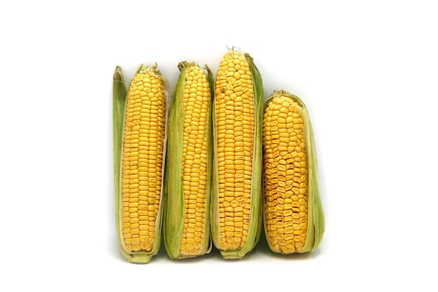 Several ears of corn on a light background Natural product Natural structure Natural color Closeup