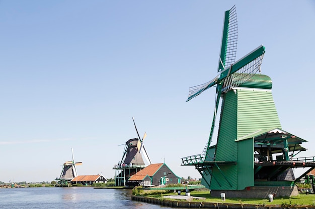 Several windmills of Zaanse Schans against blue sky The Netherlands