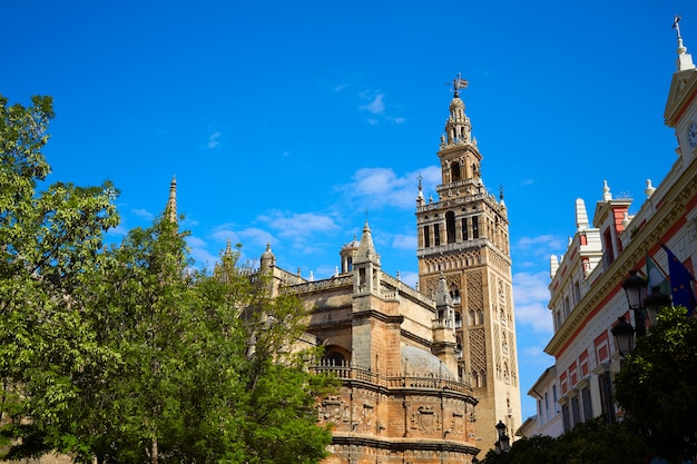 Seville cathedral Giralda tower Sevilla Spain