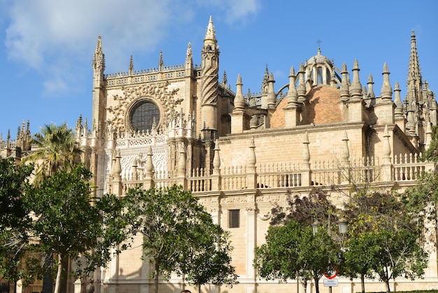 Seville Cathedral