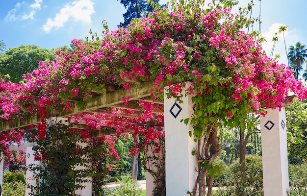 seville maria luisa park gardens spain