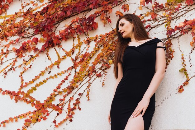 Sexy beautiful young woman in black dress posing against an unusual wall background with plants