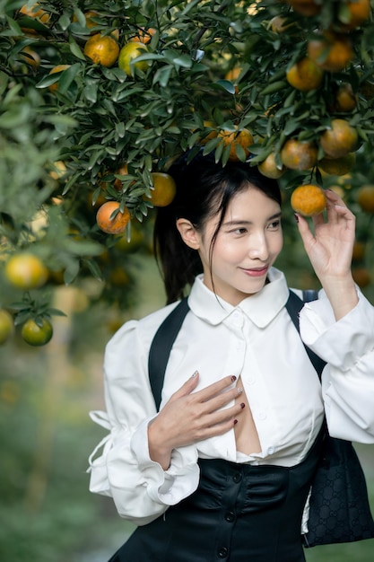 Sexy woman harvesting tangerine oranges in farm