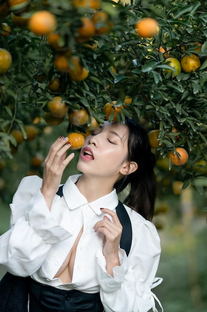 Sexy woman harvesting tangerine oranges in farm