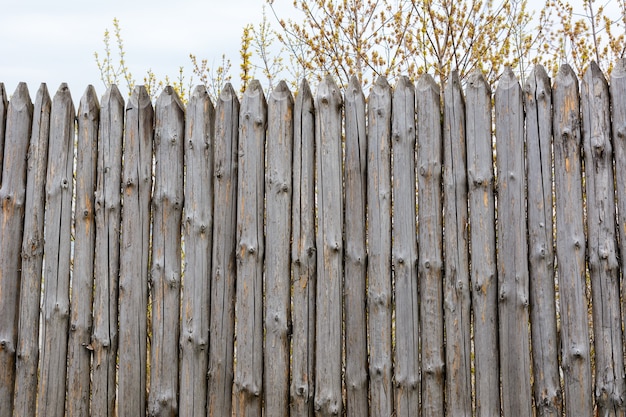 Shabby fence in the sunny spring day. Background texture of old grey wooden fence from whole logs with  knots. Natural material.