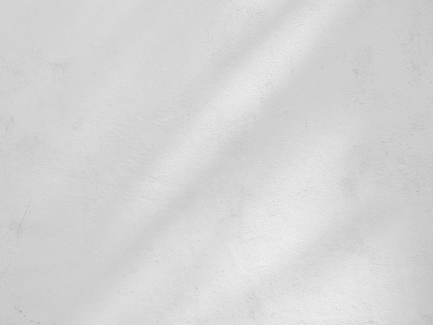 Shadow of branches and leaves on crack white wall