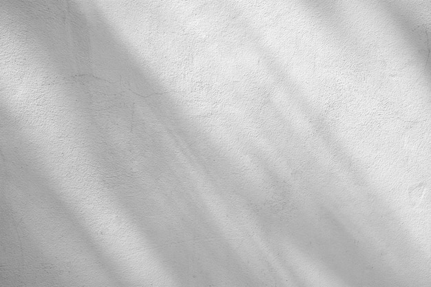 Shadow of branches and leaves on a white cement street wall