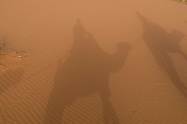 Photo shadow of camels and men on sand