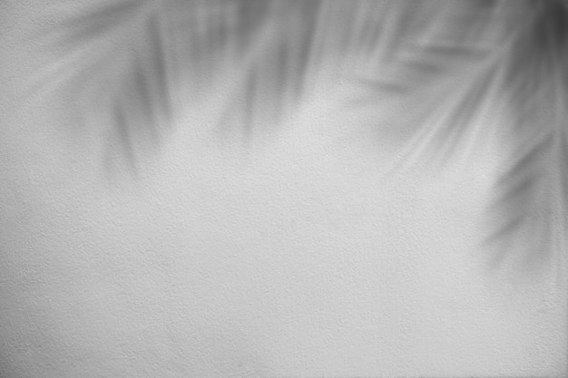 Shadow palm leaveseaves on gray cement wall background