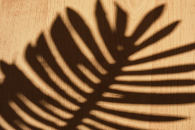 Shadow of a palm tree branch on a wooden surface, texture background mockup for presentation of your product