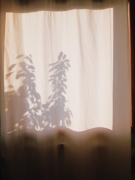 Photo shadow of plants on curtain at home