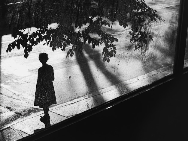 Photo shadow of silhouette in rainy urban setting with tree reflection