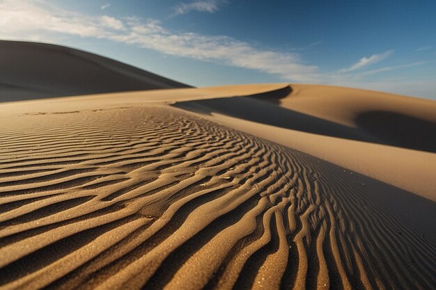 The shadow of a small dune cast over smooth sand